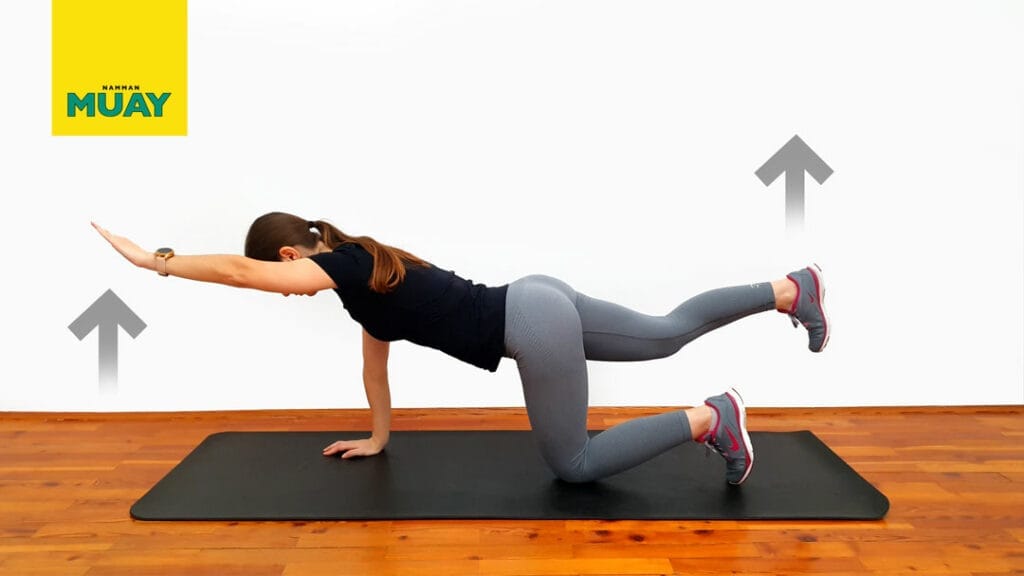 Izmenični diagonalni dvig roke in noge kleče